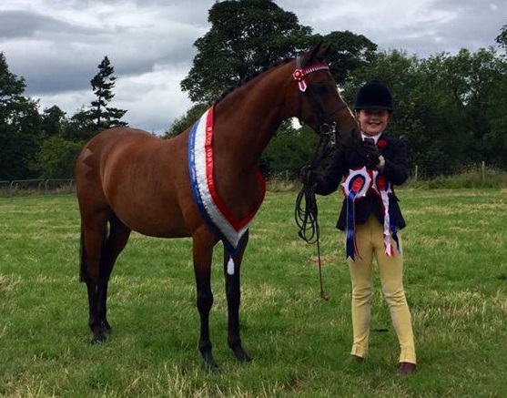 Champion_LL_Horse_2016 Champion_LL_Horse_2016